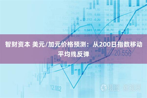 智财资本 美元/加元价格预测：从200日指数移动平均线反弹