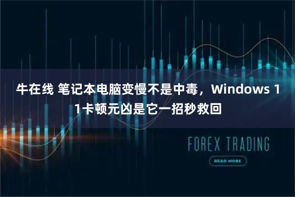 牛在线 笔记本电脑变慢不是中毒，Windows 11卡顿元凶是它一招秒救回