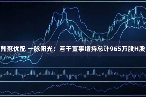 鼎冠优配 一脉阳光：若干董事增持总计965万股H股