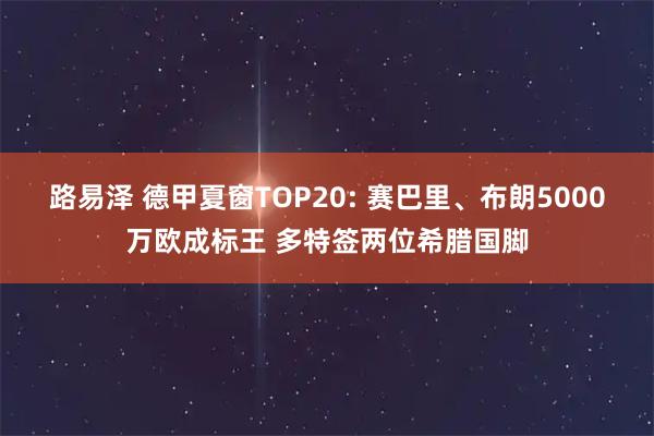路易泽 德甲夏窗TOP20: 赛巴里、布朗5000万欧成标王 多特签两位希腊国脚